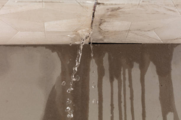 Professional Flood Damage Cleanup technician working in Tavernier, FL